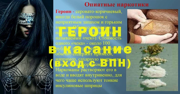 индика Богданович