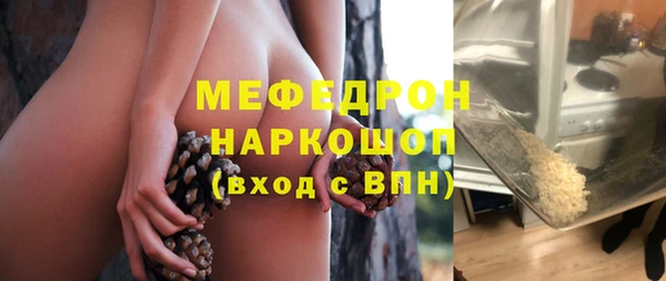 индика Богданович
