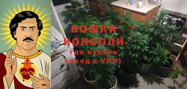 индика Богданович