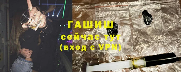 индика Богданович