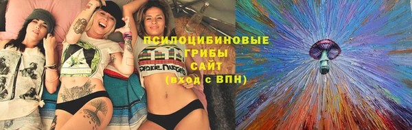 a pvp Богородск