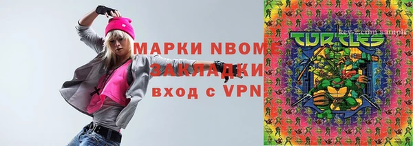 индика Богданович