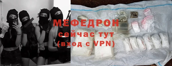 индика Богданович
