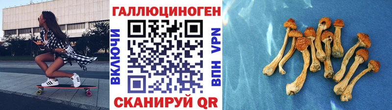 Галлюциногенные грибы ЛСД  Мыски 