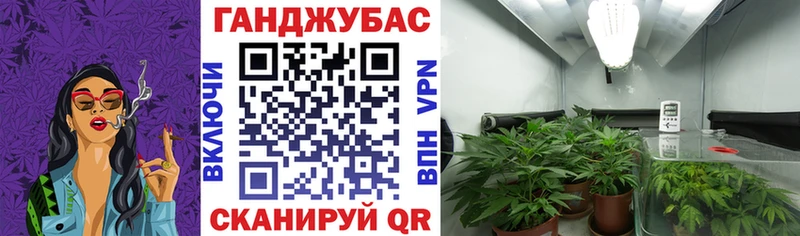 OMG   Мыски  Конопля LSD WEED 
